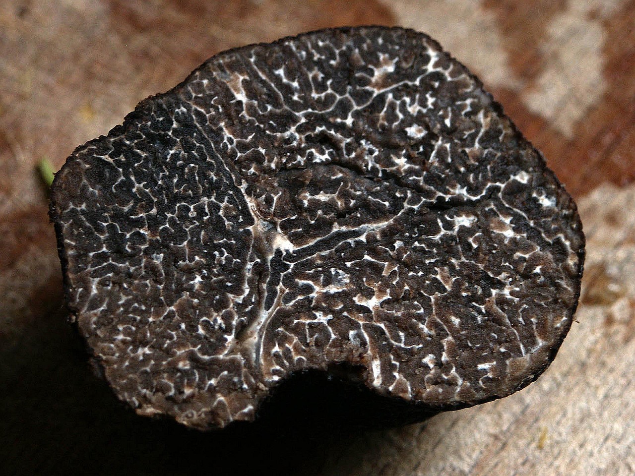 Image of Truffle