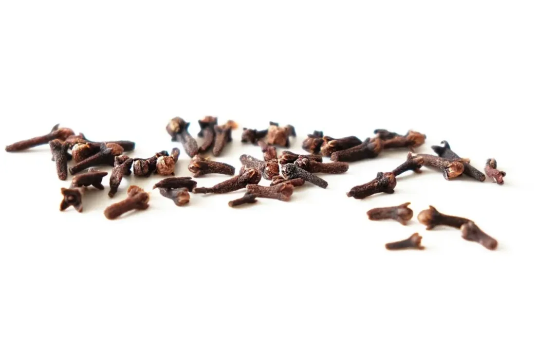 Clove: The Anti-Aging and Protective Secret for Your Skin