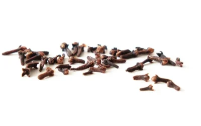 Clove: The Anti-Aging and Protective Secret for Your Skin